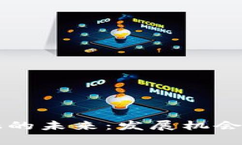 区块链金融的未来：发展机会与挑战分析