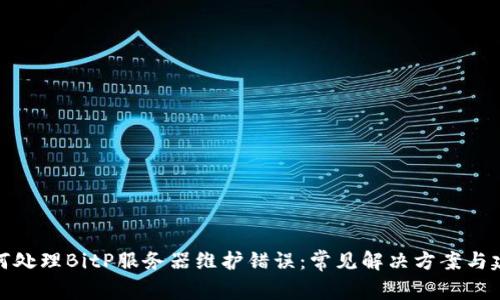 如何处理BitP服务器维护错误：常见解决方案与建议