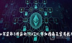 如何获取B特派的TRXZM：详细指南及实用技巧
