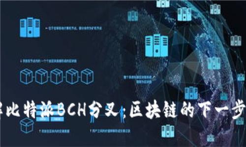 了解比特派BCH分叉：区块链的下一步革新