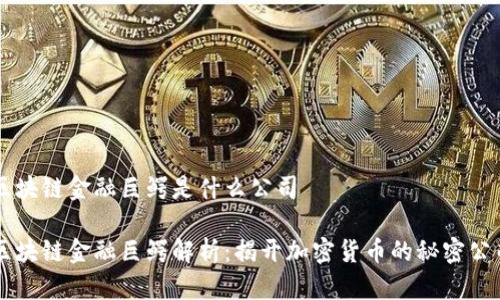 区块链金融巨鳄是什么公司

区块链金融巨鳄解析：揭开加密货币的秘密公司