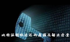 比特派转账延迟的原因及解决方案