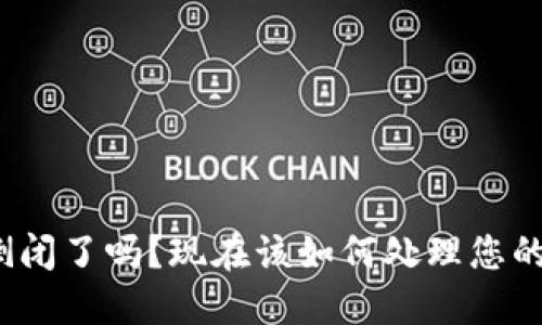 BitP钱包倒闭了吗？现在该如何处理您的数字资产？