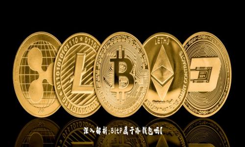 深入解析：BitP属于冷钱包吗？