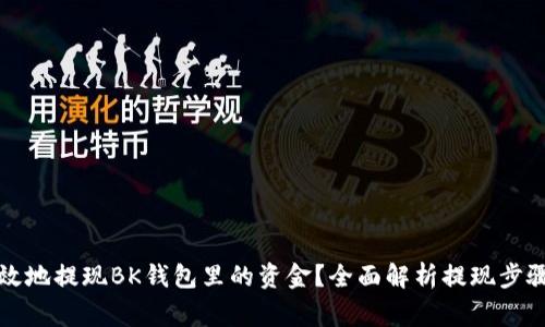 如何安全有效地提现BK钱包里的资金？全面解析提现步骤与注意事项
