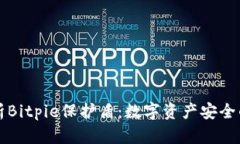 全面解析Bitpie保护盾：数字资产安全的新标准