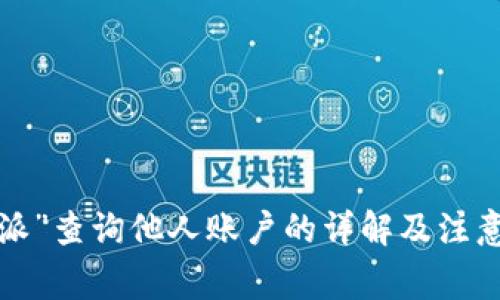 “b特派”查询他人账户的详解及注意事项