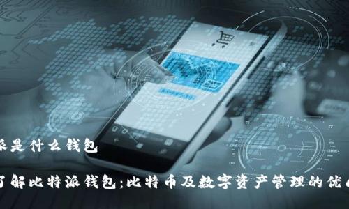 比特派是什么钱包

深入了解比特派钱包：比特币及数字资产管理的优质选择