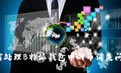 如何处理B特派钱包中的币消失问题？