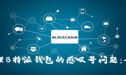 如何处理B特派钱包的感叹号问题：全面指南