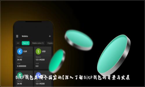 BitP钱包是哪个国家的？深入了解BitP钱包的背景与发展
