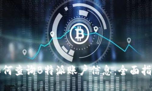 如何查询B特派账户信息：全面指南