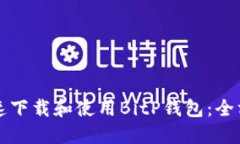 如何快速下载和使用BitP钱包：全方位指南