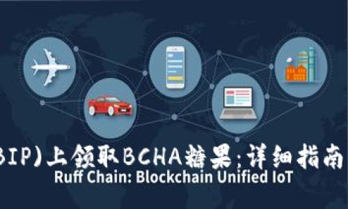 如何在比特派(BIP)上领取BCHA糖果：详细指南与常见问题解答