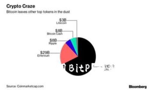 国内用户如何使用BitP？详解及注意事项