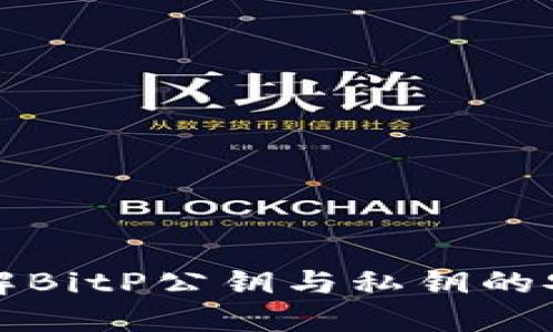 深入理解BitP公钥与私钥的安全机制