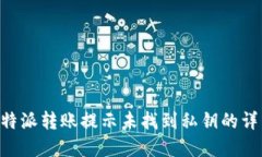 解决B特派转账提示未找到私钥的详细指南