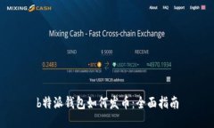 b特派钱包如何发币：全面指南